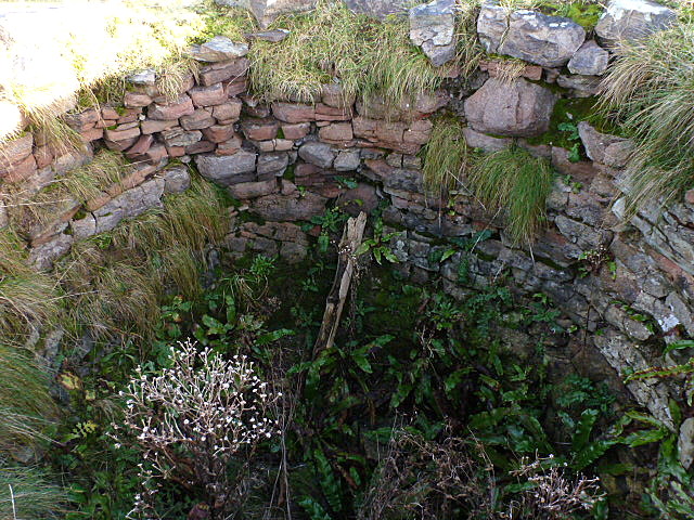st. John's Point Lime Kiln