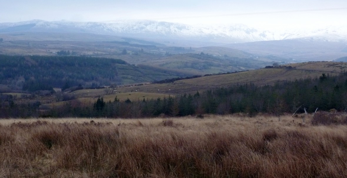 Blue Stacks -Spring 2013