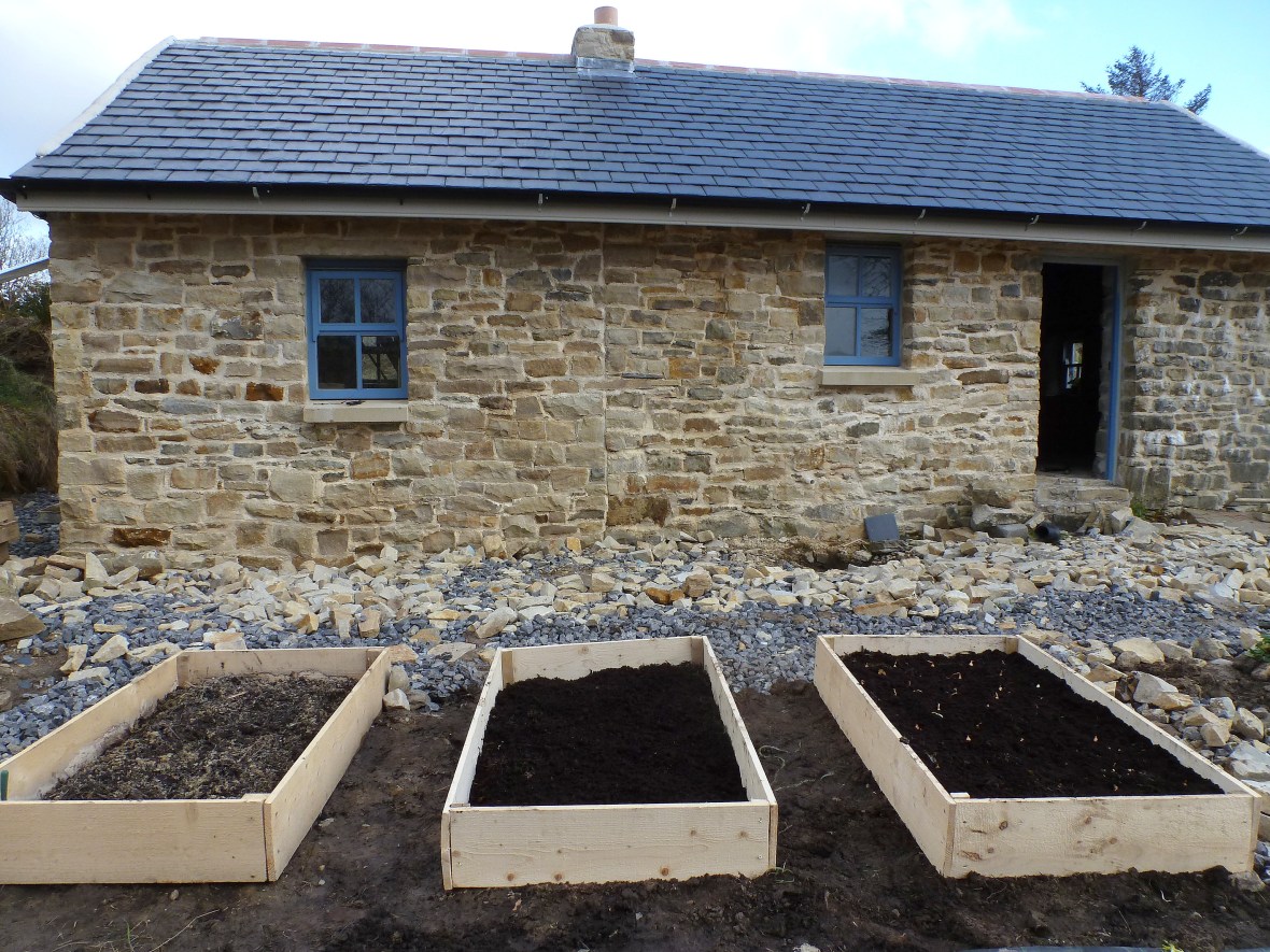 raised beds