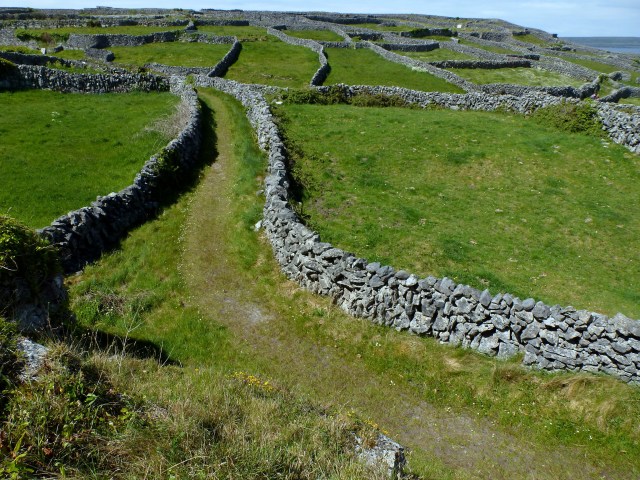 Inis Oírr fields