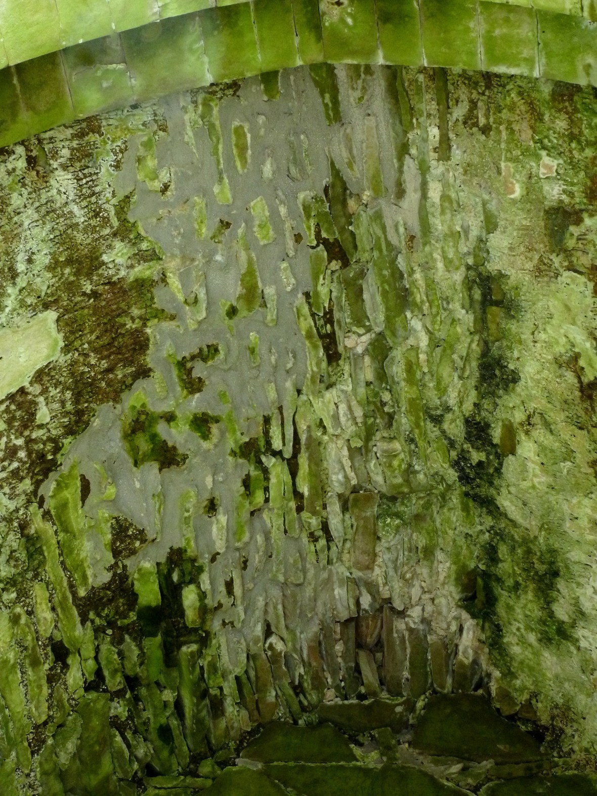 Old and new Lime on a vaulted ceiling