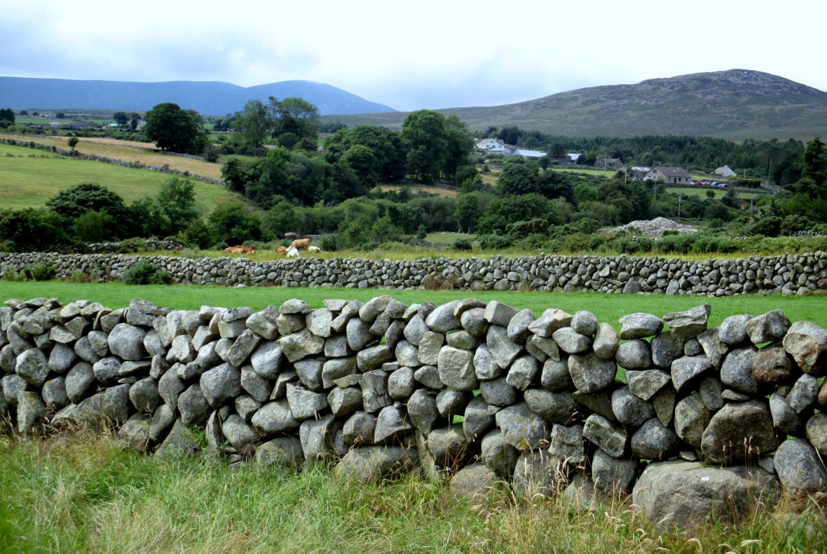 Mourne field walls
